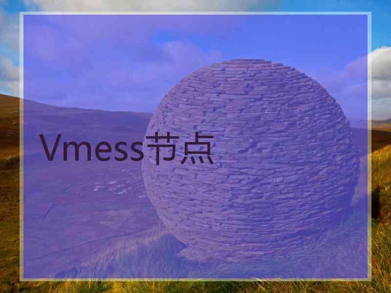 Vmess节点