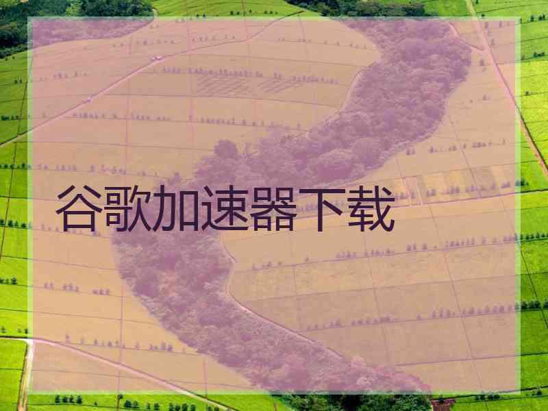 谷歌加速器下载