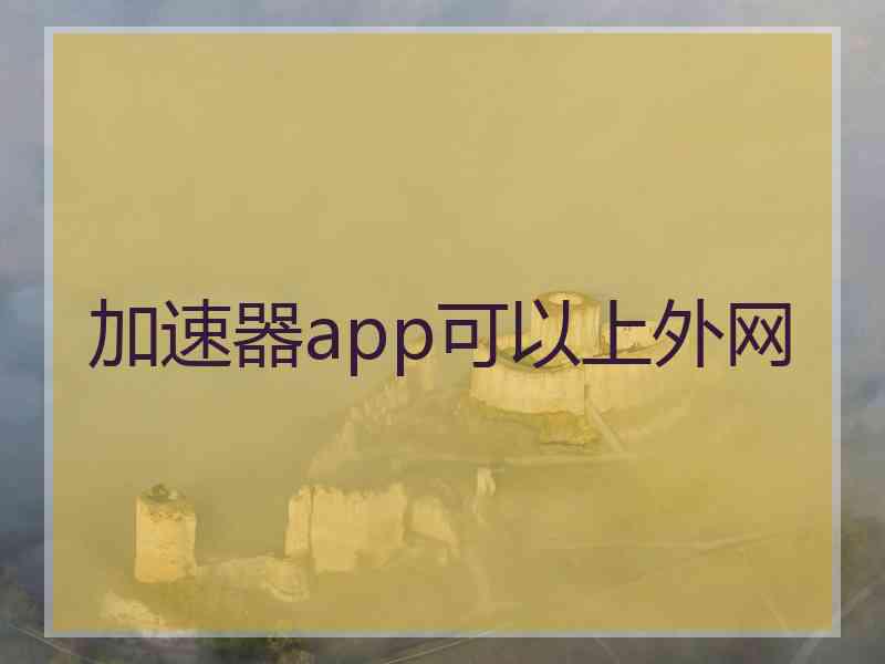 加速器app可以上外网