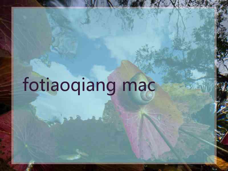 fotiaoqiang mac