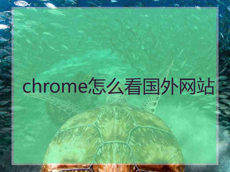 chrome怎么看国外网站