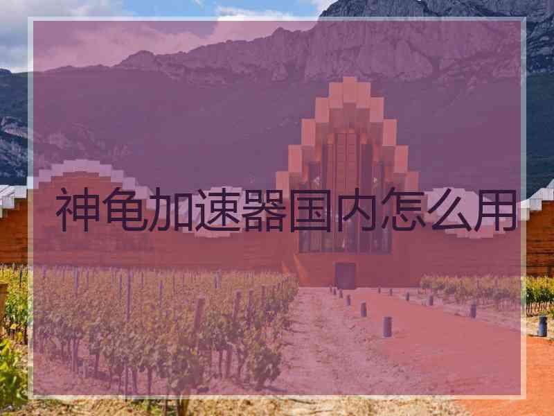 神龟加速器国内怎么用