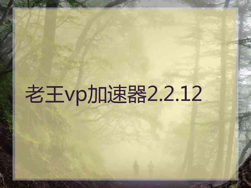 老王vp加速器2.2.12