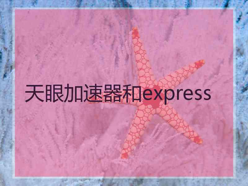 天眼加速器和express