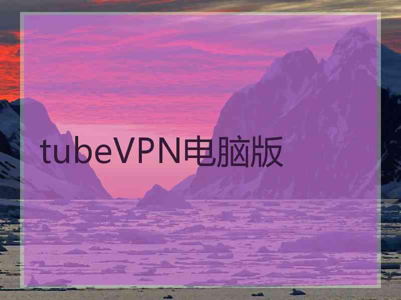 tubeVPN电脑版