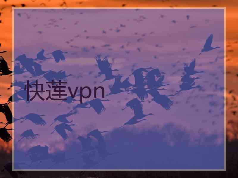 快莲vpn