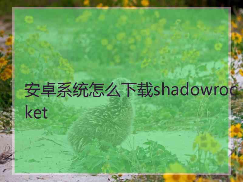 安卓系统怎么下载shadowrocket