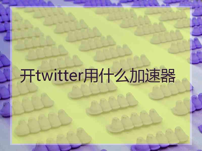 开twitter用什么加速器