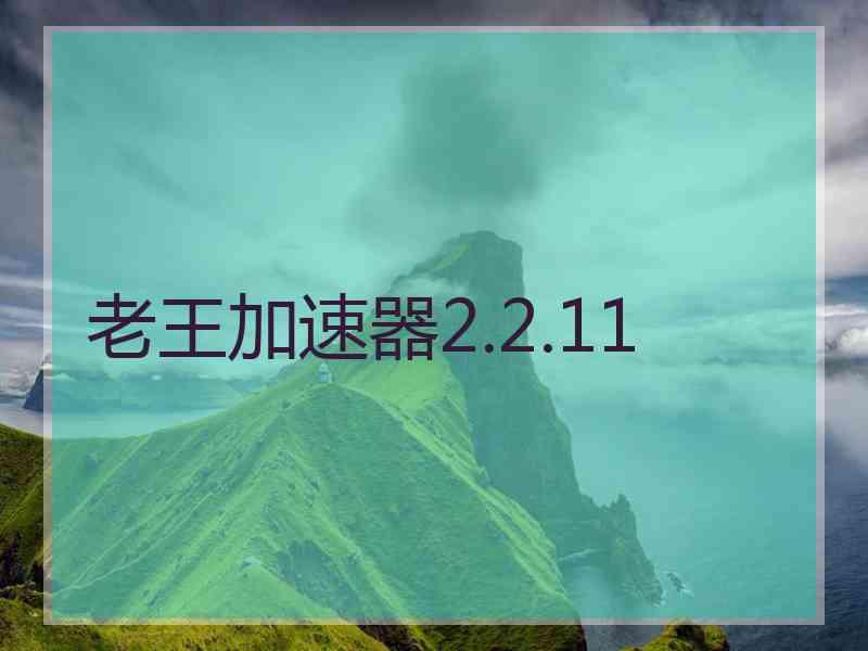 老王加速器2.2.11