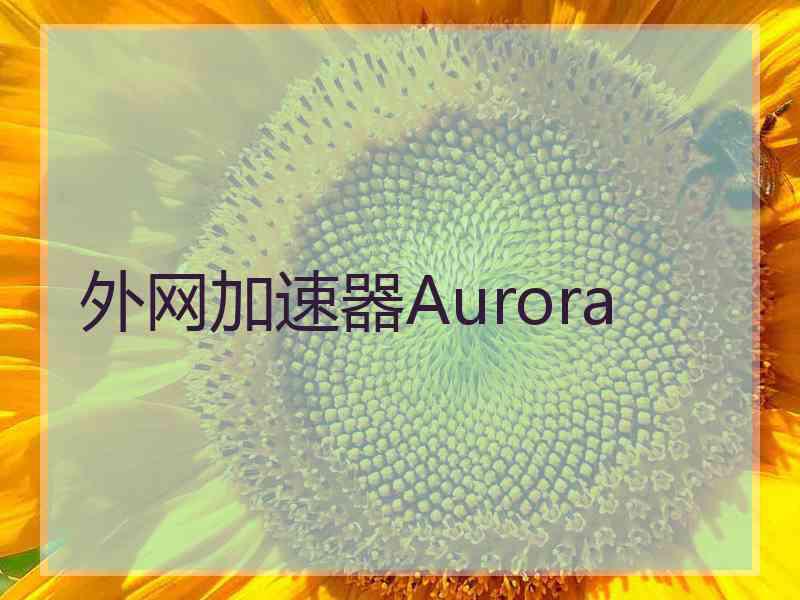 外网加速器Aurora