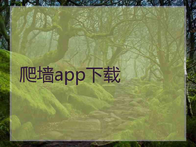 爬墙app下载