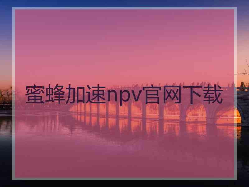 蜜蜂加速npv官网下载