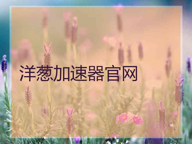 洋葱加速器官网