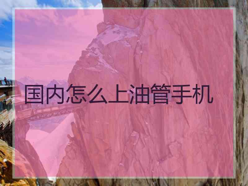 国内怎么上油管手机