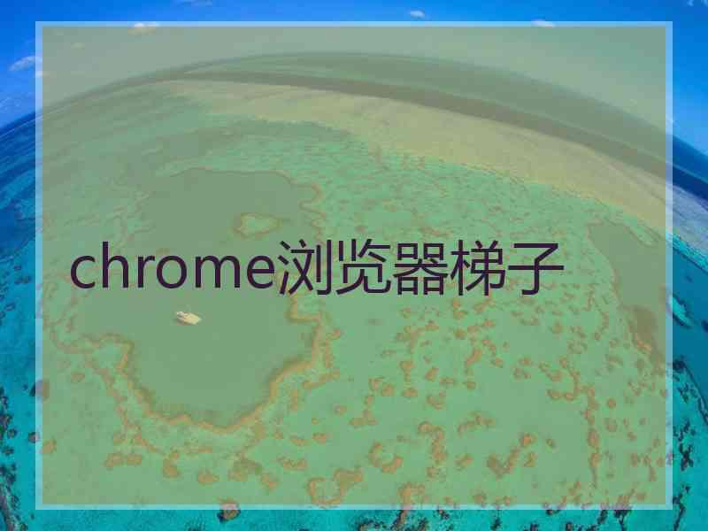 chrome浏览器梯子