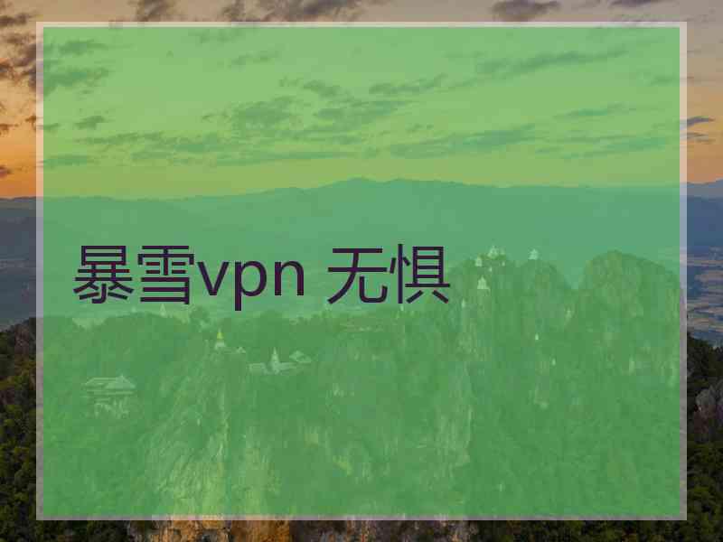 暴雪vpn 无惧