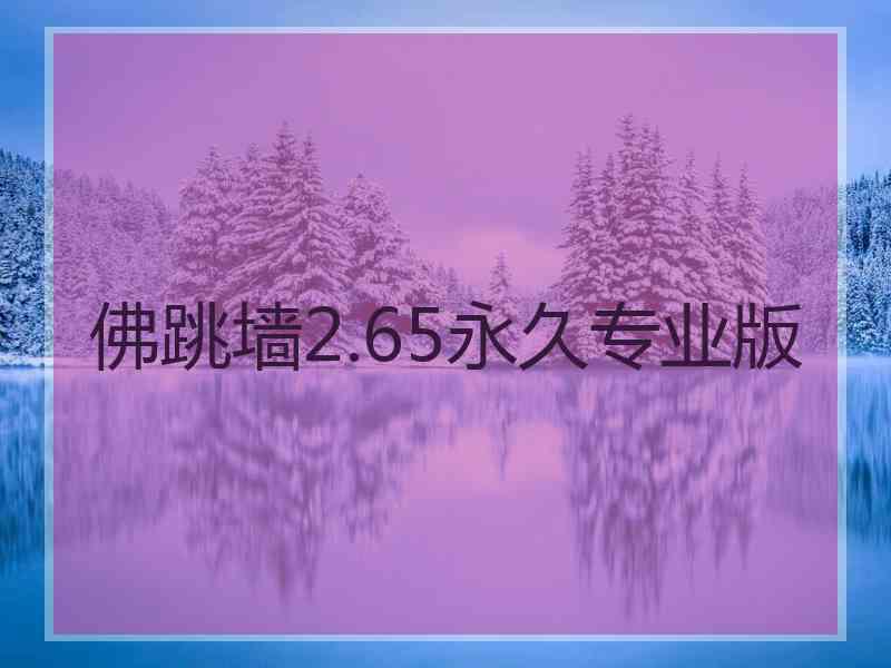 佛跳墙2.65永久专业版