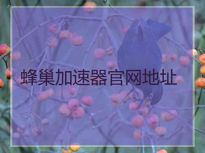 蜂巢加速器官网地址