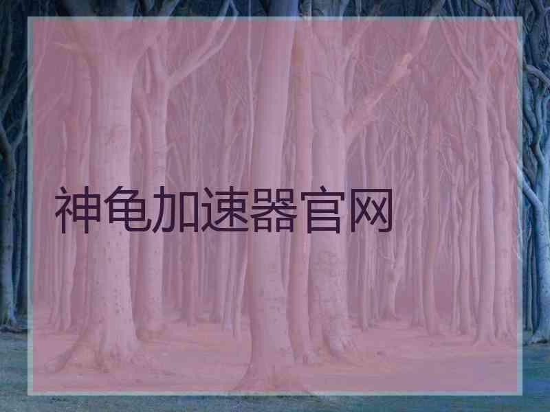 神龟加速器官网