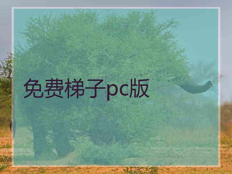 免费梯子pc版