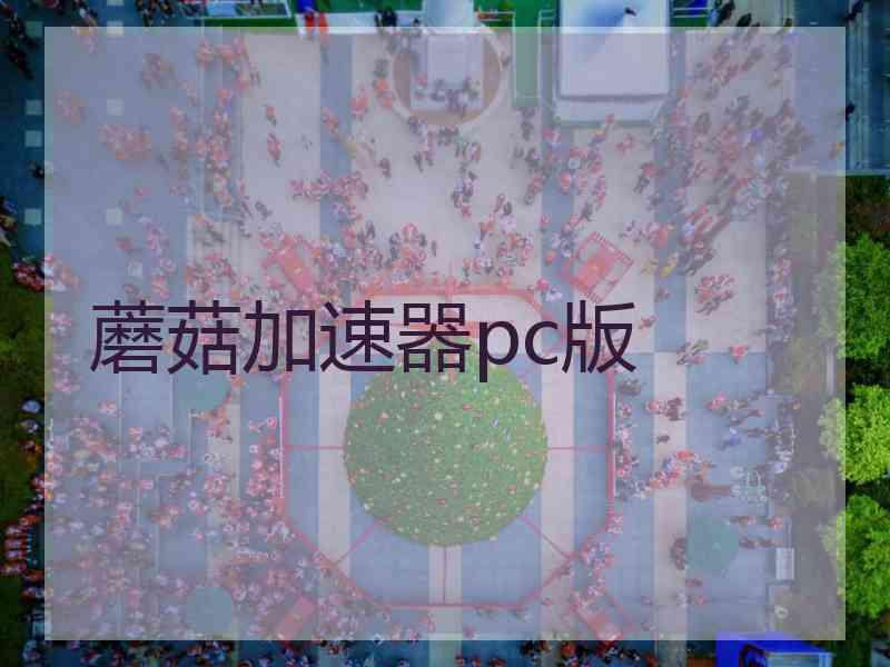 蘑菇加速器pc版