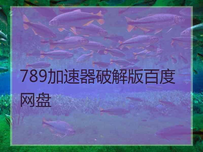 789加速器破解版百度网盘