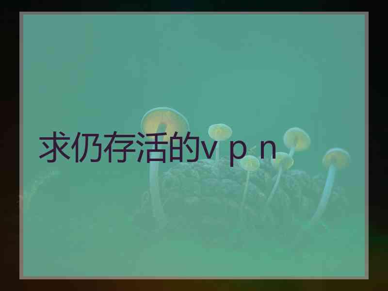 求仍存活的v p n