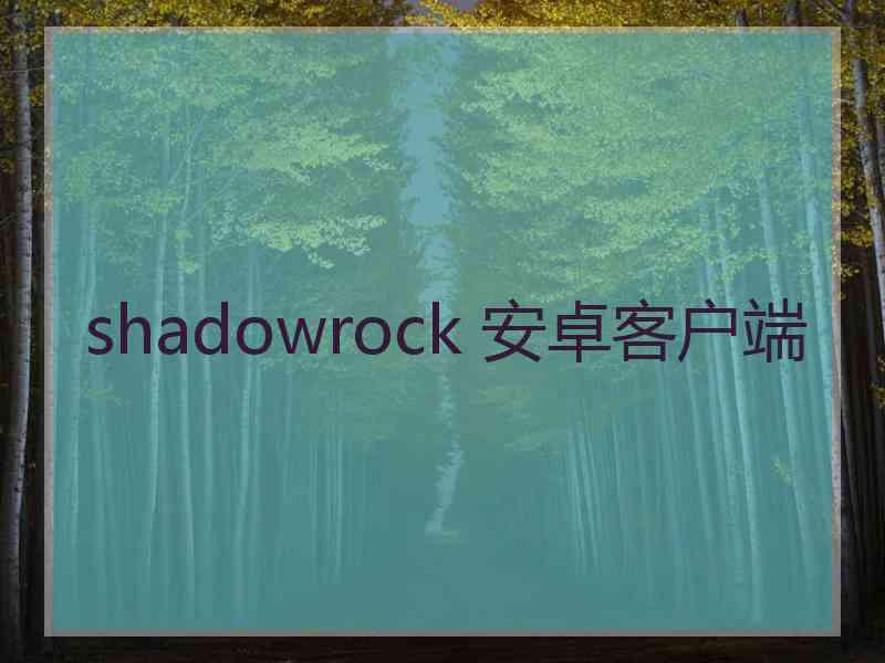 shadowrock 安卓客户端