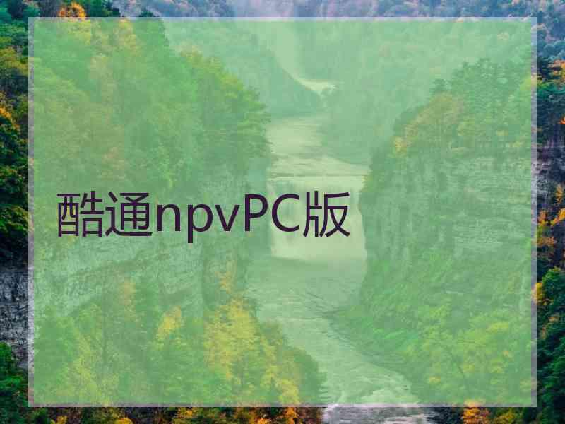 酷通npvPC版