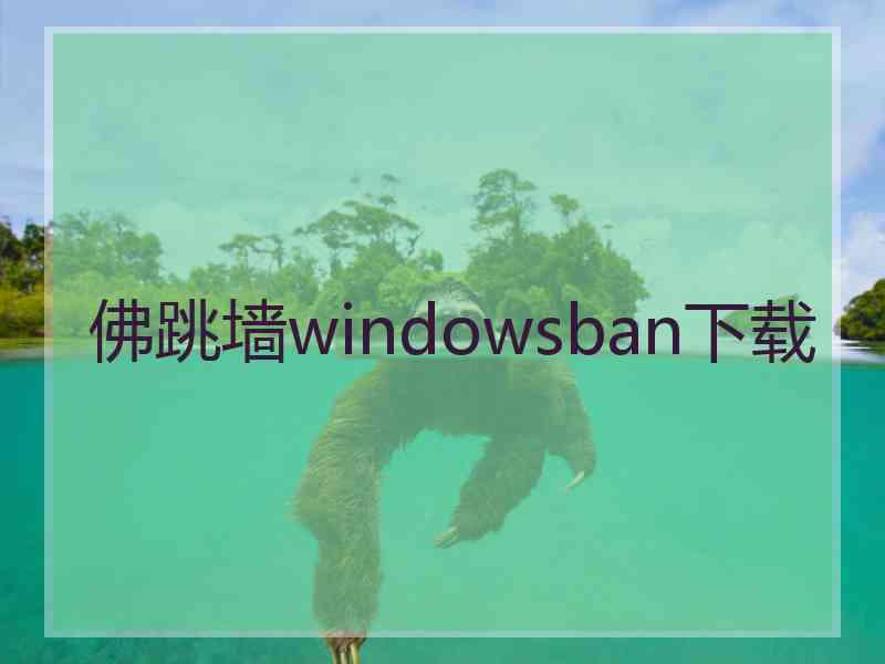 佛跳墙windowsban下载