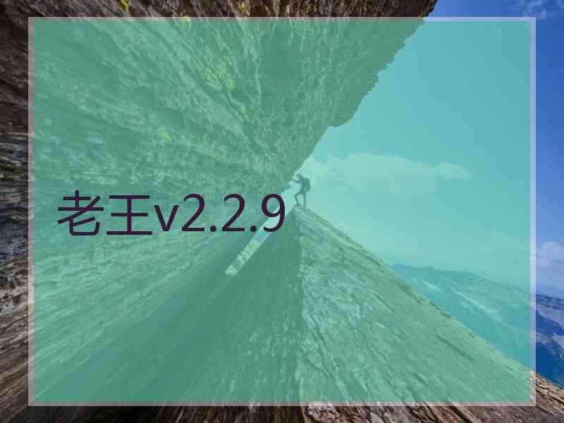 老王v2.2.9