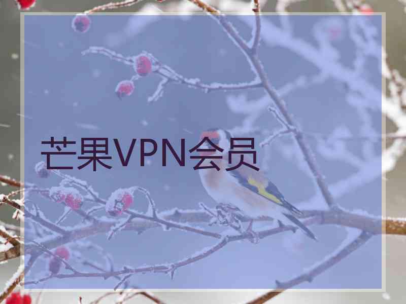 芒果VPN会员