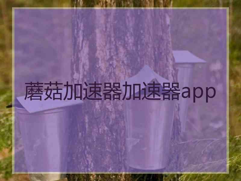 蘑菇加速器加速器app