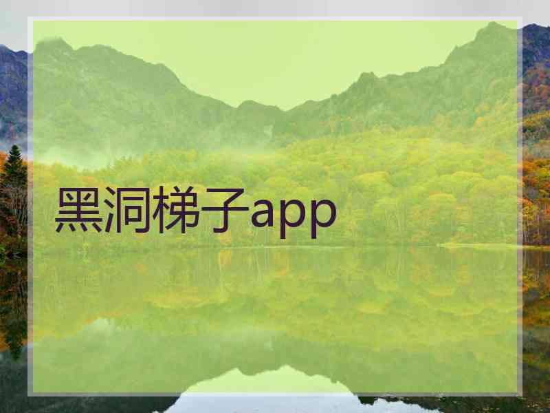 黑洞梯子app