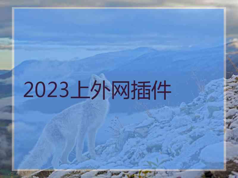 2023上外网插件