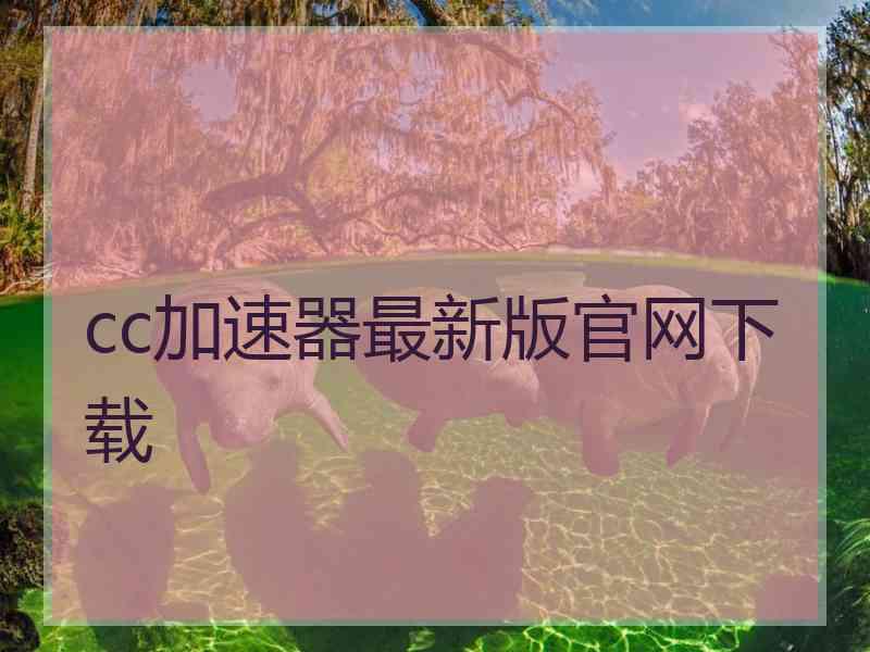 cc加速器最新版官网下载