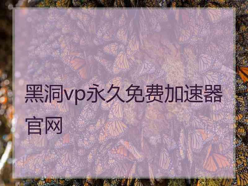 黑洞vp永久免费加速器官网