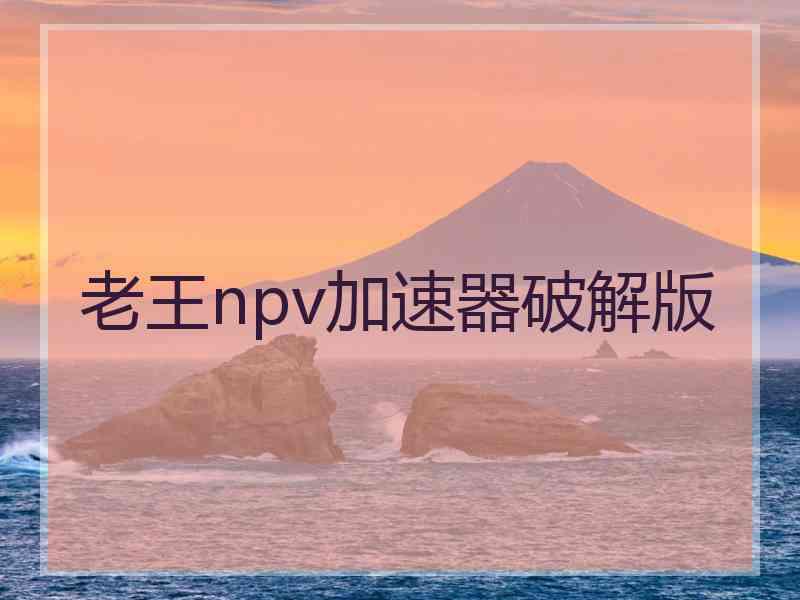 老王npv加速器破解版