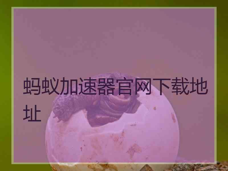 蚂蚁加速器官网下载地址