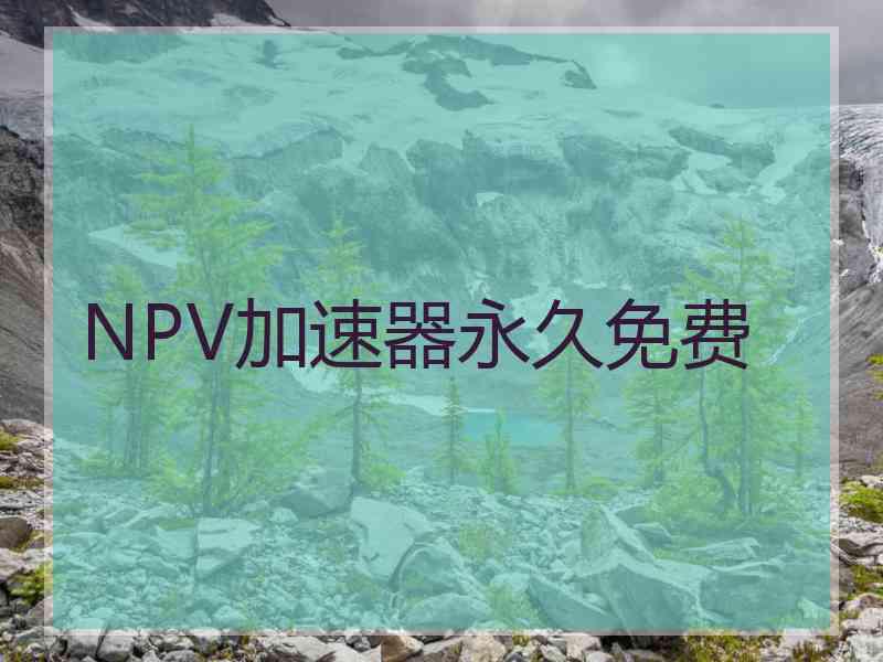 NPV加速器永久免费