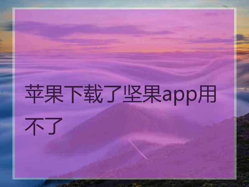 苹果下载了坚果app用不了