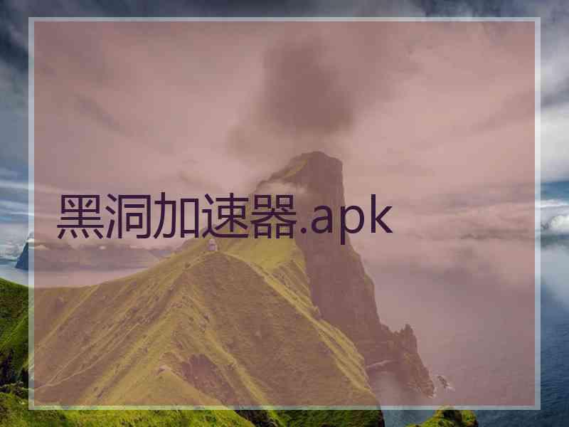 黑洞加速器.apk