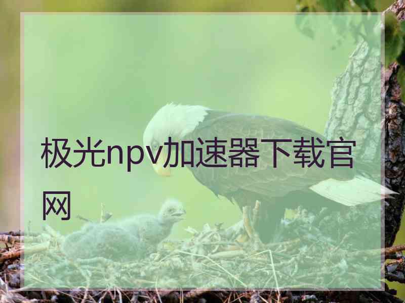 极光npv加速器下载官网