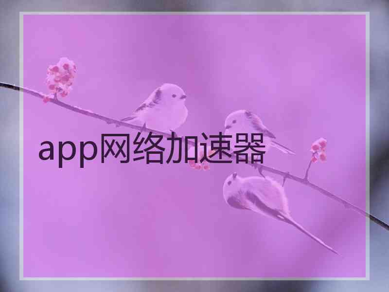 app网络加速器