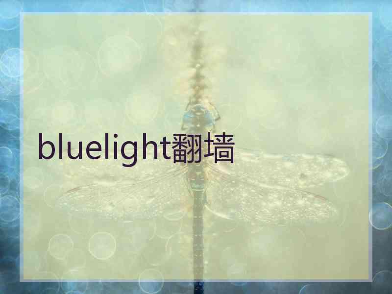 bluelight翻墙