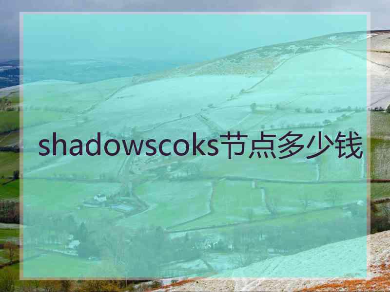 shadowscoks节点多少钱