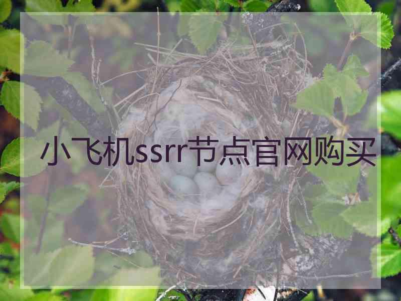 小飞机ssrr节点官网购买