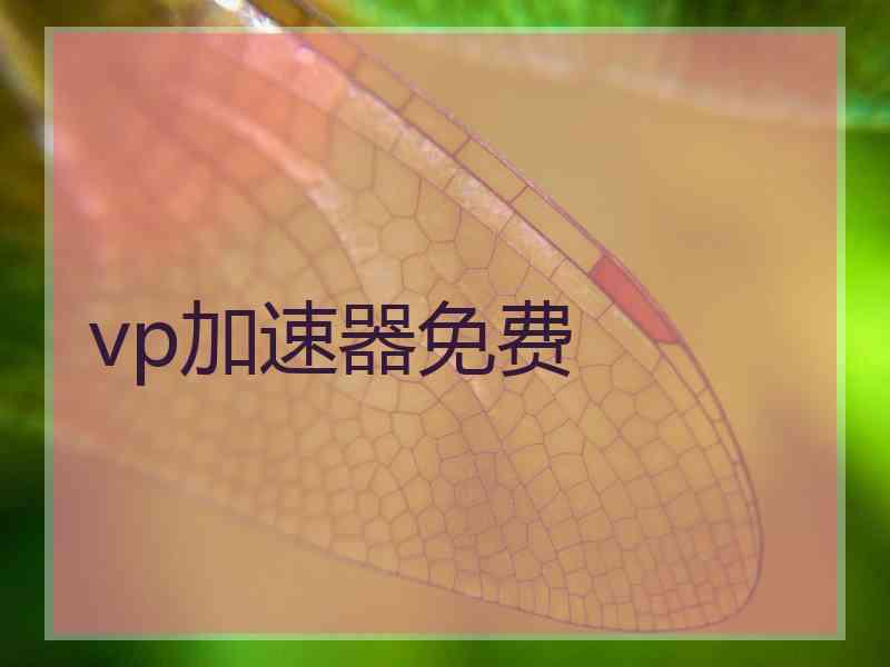 vp加速器免费