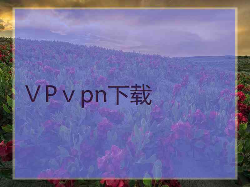 ⅤPⅴpn下载