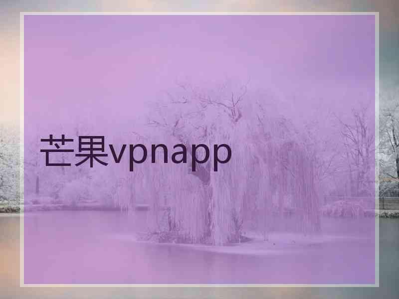 芒果vpnapp